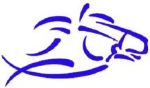 Welcome to Rock Springs Riding Ranch