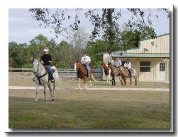 Horseback Riding Tour
