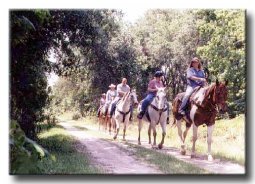 Historic Ethel Trail